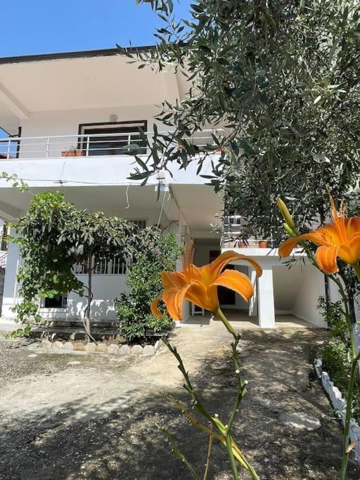 Agalliu Center Villa *